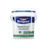 Pintura plástica acrílica estirenada interior/exterior antimoho expert blanco mate 750 ml