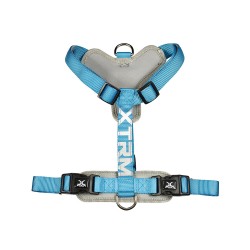 Arnes x-trm cronos neon flash 35-60 x 1,5 cm azul