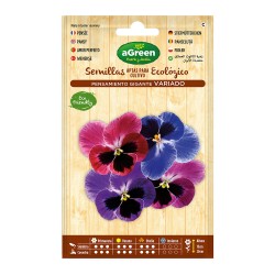 Sobre con semillas de pensamiento gigante