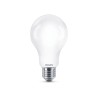 Bombilla standard led e27 17,5 w 2452 lm 2700 k luz calida ø7,5 x 12,1 cm