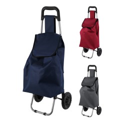 Carro de la compra con dos ruedas 33 l, colores surtidos