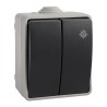 Doble conmutador estanco 10 ax 250v~. ip54