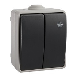 Doble conmutador estanco 10 ax 250v~. ip54