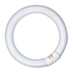 Tubo fluorescente circular 20w, g10q, luz fria ø210 mm