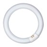 Tubo fluorescente circular 32w, g10q, 6500 k luz fria ø300 mm
