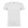 Camiseta beagle blanca t.m