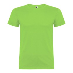 Camiseta beagle verde oasis t.s