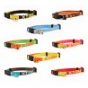Collar gato x-trm neon flash 10 mm x 22-33 cm, colores surtidos