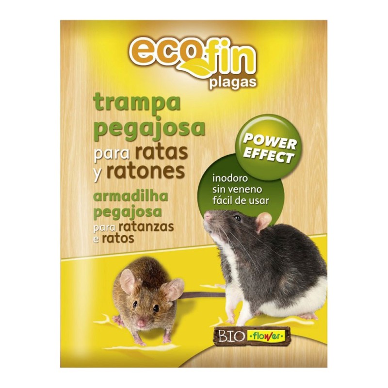 Trampa pegajosa para ratas y ratones fin